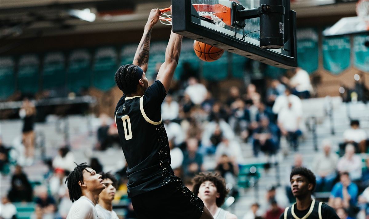 新西兰在劣 新西兰在劣