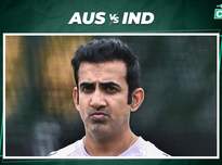 篮网队史单 篮网队史单